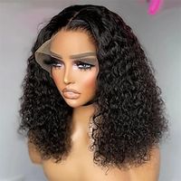 Transparent Kinky Curly Lace Front Wig Human Hair Pre Plucked for Black Women Glueless 16 Inch Deep Jerry Curly Wave 13x4 Lace Frontal Wigs Human Hair Wet and Wavy 150% Density Natural Color Lightinthebox - thumbnail
