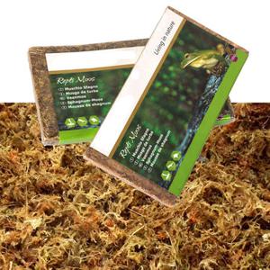 Reptile Vivarium Natural Forest Moss Concentrated Pack