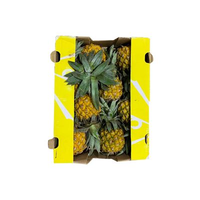 Baby Pineapple 4Kg-South Africa (UAE Delivery Only)