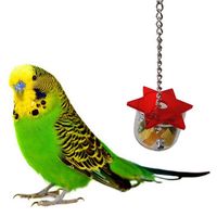 Hanging Cage Swing Chew Bird Feeding Box Parrot ForagingHex Star Acrylic Pet Toys