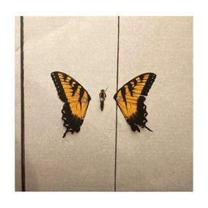 Brand New Eyes | Paramore