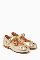 Alexa Ballerinas in Metallic Leather