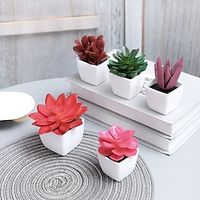 5pcs/set Succulent Potted Plants Suitable For Decorating Homes Restaurants Tabletops Windowsills Shelves Offices miniinthebox