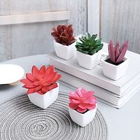 5pcs/set Succulent Potted Plants Suitable For Decorating Homes Restaurants Tabletops Windowsills Shelves Offices miniinthebox 5pcs/set Succulent Potted Plants Suitable For Decorating Homes Restaurants Tabletops Windowsills Shelves Offices miniinthebox