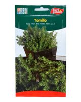 Euro Garden Thyme - thumbnail