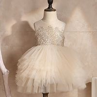 Kids Little Girls' Dress Plain A Line Dress Party Christening dress Mesh Beige Asymmetrical Sleeveless Princess Cute Dresses Spring Summer Regular Fit 2-8 Years Lightinthebox - thumbnail