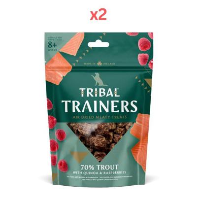 Tribal Trainers Trout Quinoa & Raspberry Dog Treats 80g (Pack of 2)
