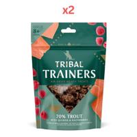 Tribal Trainers Trout Quinoa & Raspberry Dog Treats 80g (Pack of 2)
