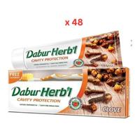 Dabur Herbal Toothpaste, Clove - 150g x 48