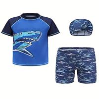 Kid Boys Swimsuit Swimwear Beachwear Sets Short Sleeve Swim Tops Trunks and Hat Summer Outfits Rash Guard Swimming Bathing Suits Lightinthebox