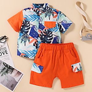 Kids Boys' Clothing Set 2 Pieces Short Sleeve Orange Print Leaf Print Indoor Outdoor Casual Daily Regular 2-6 Years miniinthebox