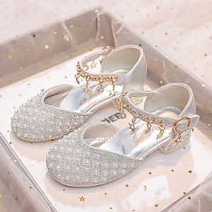 Girls' Heels Daily Dress Shoes Princess Shoes School Shoes Glitter Portable Breathability Non-slipping Princess Shoes Big Kids(7years ) Little Kids(4-7ys) Daily Theme Party Walking Shoes Buckle Lightinthebox