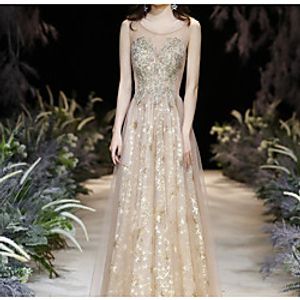 A-Line Sparkle Floral Prom Formal Evening Dress Illusion Neck Sleeveless Floor Length Tulle with Pleats Embroidery 2021 Lightinthebox