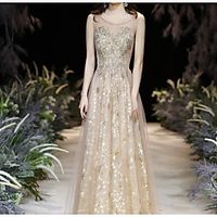 A-Line Sparkle Floral Prom Formal Evening Dress Illusion Neck Sleeveless Floor Length Tulle with Pleats Embroidery 2021 Lightinthebox - thumbnail
