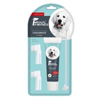 Fresh Friends Dog Dental Care Kit Mint Flavor With Bio-Enzyme - 90g