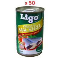 Ligo Premium Mackerel In Tomato Sauce 155G Pack of 50