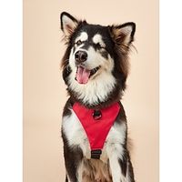 Dog Cat Harness Vest Adjustable Flexible Escape Proof Safety Safety Sports Adjustable Running Walking Solid Colored Polyester Small Dog Medium Dog Large Dog Light Red 1PC Lightinthebox - thumbnail