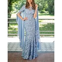 Sheath  Column Mother of the Bride Dress Wedding Guest Vintage Elegant Scoop Neck Floor Length Chiffon Sleeveless with Pleats Appliques 2023 Lightinthebox - thumbnail