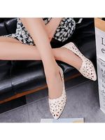 Fashion wild pointed flat shoes Fashion wild pointed flat shoes