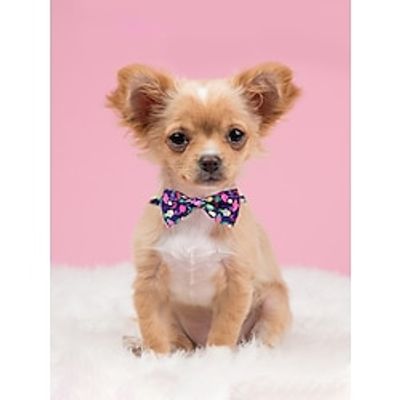 Dog Cat Tie  Bow Tie Romantic Sweet Party Outdoor Dog Clothes Puppy Clothes Dog Outfits Soft Multicolor Costume for Girl and Boy Dog Polyster Lightinthebox