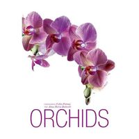 Orchids Orchids