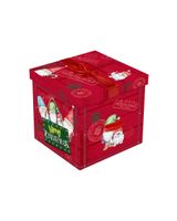 Eurowrap Square Flat Pack Boxes 32856-BXC