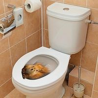 3D Three-dimensional Squirrel Toilet Lid Decal, Removable Self Adhesive Wall Sticker, Creative Toilet Cover Decorative Sticker, Bathroom Decor asethetic room decor, home decor Lightinthebox - thumbnail