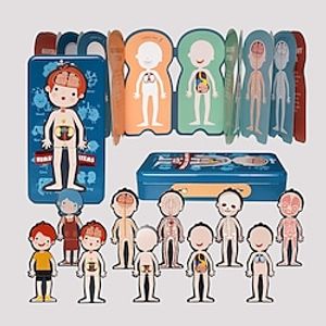 Magnetic Human Body Anatomy Play Set With Magnetic Pieces and Storage Tray - Human Body Model For Kids Human Body Puzzle For Preschoolers And Kids Ages 3 miniinthebox