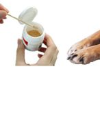 Pets Styptic Powder For Dogs & Cats - 14 g