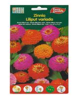 Euro Garden Zinnia Lilliput Mix Premium Quality Seeds