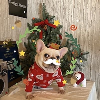 Pet Christmas Net Red Clothes Dog Cat Fadou Teddy Schnauzer Net Red Dog Autumn and Winter Christmas Sweater Lightinthebox