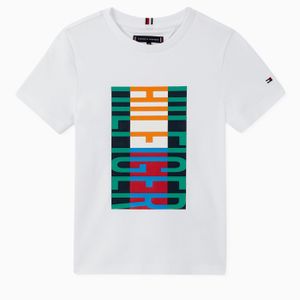 Fun Flag Cotton T-Shirt