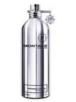 Montale Patchouli Leaves (U) Edp 100Ml Tester - thumbnail