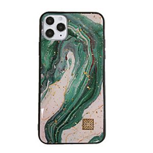 Phone Case For Apple Back Cover iPhone 12 Pro Max 11 SE 2020 X XR XS Max 8 7 6 Shockproof Dustproof Graphic TPU Lightinthebox