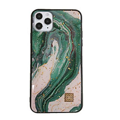 Phone Case For Apple Back Cover iPhone 12 Pro Max 11 SE 2020 X XR XS Max 8 7 6 Shockproof Dustproof Graphic TPU Lightinthebox
