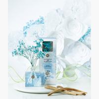 Ashleigh & Burwood Wisteria and White Woods Reed Diffuser - 150 ml