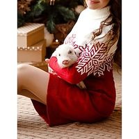 Women's Sweater Dress Jumper Ribbed Knit Long Oversized Snowflake Turtleneck Stylish Casual Christmas Daily Fall Winter Women's model S M L miniinthebox