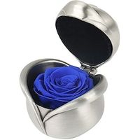 Best Gifts For Valentine's Day Preserved Flower Rose Upscale Immortal Flowers Gifts For Women Mother's Day Valentine's Day Anniversary Birthday Valentine's Day for Her Lightinthebox - thumbnail