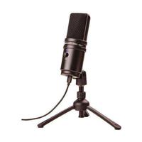 Zoom ZUM-2 Podcast Microphone