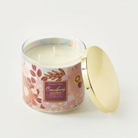 Floral 3-Wick Cranberry Cosmo Jar Candle - 411 gms