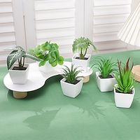 6pcs/set 2024 Evergreen plants And Flowers Simulating Succulent Small Trees and Potted Plants Suitable For Home Restaurant Indoor Tabletop Shelf And Window Sill Decoration miniinthebox