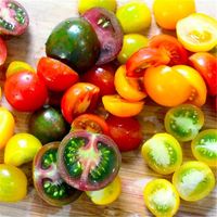 100Pcs Rainbow Tomato Seeds
