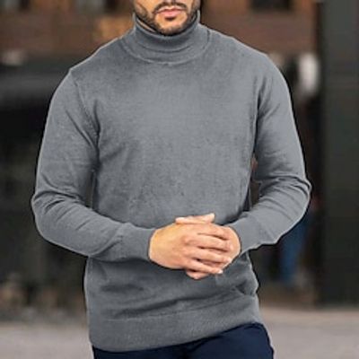 Men's Pullover Sweater Jumper Turtleneck Sweater Knit Sweater Ribbed Knit Regular Knitted Chunky Plain Roll Neck Modern Contemporary Work Daily Wear Clothing Apparel Winter Black White S M L Lightinthebox
