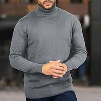 Men's Pullover Sweater Jumper Turtleneck Sweater Knit Sweater Ribbed Knit Regular Knitted Chunky Plain Roll Neck Modern Contemporary Work Daily Wear Clothing Apparel Winter Black White S M L Lightinthebox - thumbnail