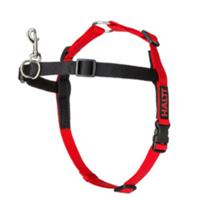Compay Of Animal HW034 HALTI Walking Harness Red Large