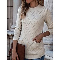 Women's Pullover Sweater Modern Style Solid Color Casual Long Sleeve Sweater Cardigans Round Neck Fall Winter Apricot miniinthebox - thumbnail