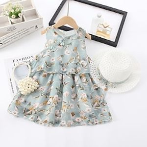 Kids Little Girls' Dress Flower Chiffon Dress Blue Pink Mini Sleeveless Cute Dresses Summer Loose 2-6 Years Lightinthebox