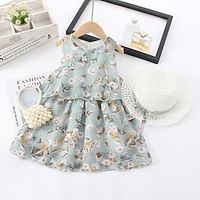 Kids Little Girls' Dress Flower Chiffon Dress Blue Pink Mini Sleeveless Cute Dresses Summer Loose 2-6 Years Lightinthebox - thumbnail
