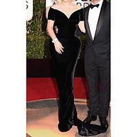 Mermaid / Trumpet Celebrity Style Elegant Prom Formal Evening Dress V Neck Short Sleeve Sweep / Brush Train Velvet with Sleek 2021 miniinthebox - thumbnail