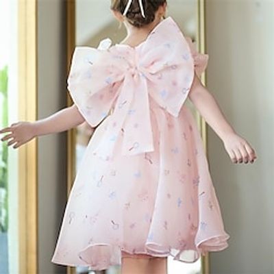 Kids Little Girls' Dress Flower Tulle Dress Party Daily Bow Pink Knee-length Short Sleeve Princess Cute Dresses Children's Day Spring Summer Slim 3-10 Years Lightinthebox
